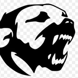 Meet your Posher, Finn